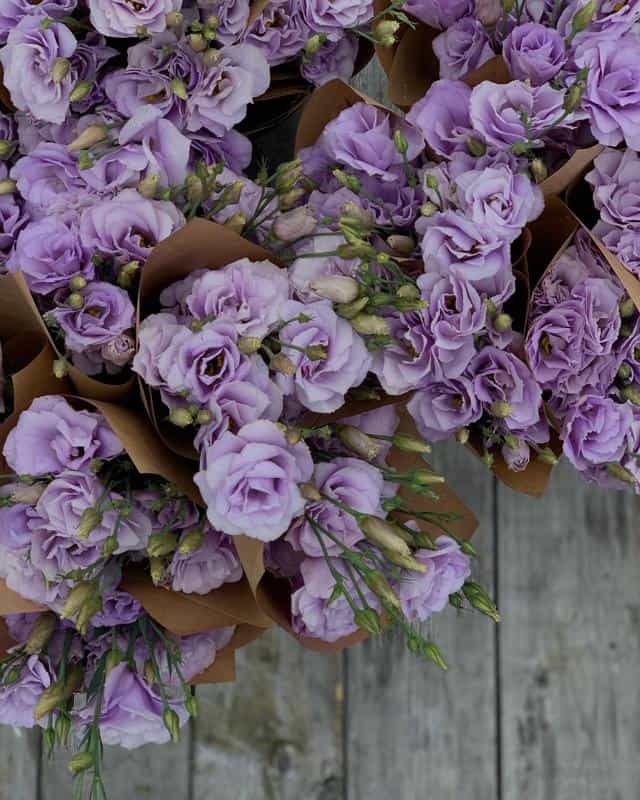 Lisianthus Flowers With Roses Shape 1