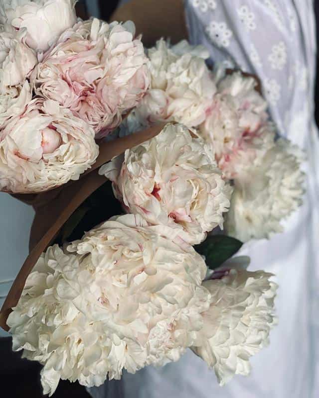 Peonies With Roses Shape 3