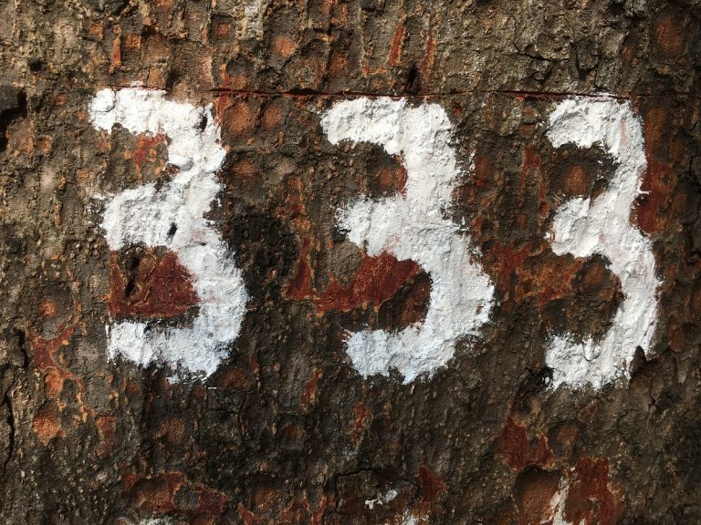 333 Angel Number