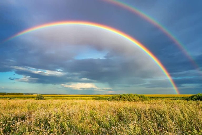 Double Rainbow Mean